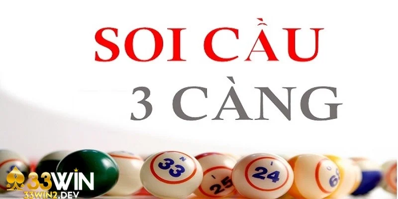 Không nên quá phụ thuộc vào cầu