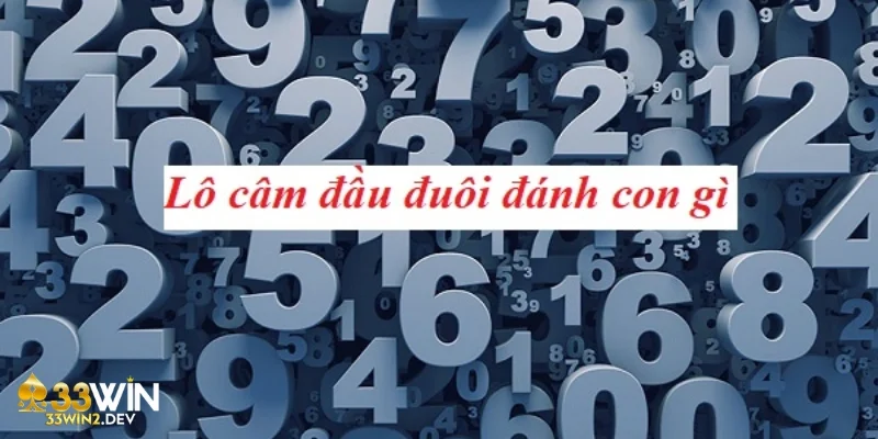 Lô đầu câm đánh con gì - Các chiến thuật nên lựa chọn