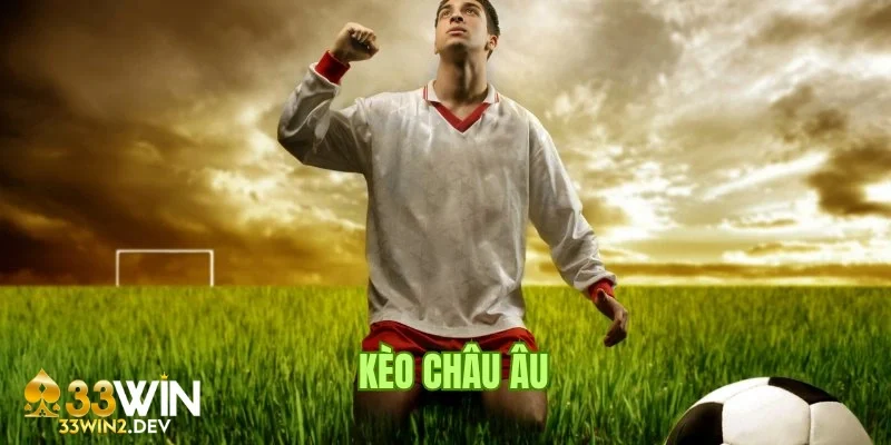 Tham khảo thông tin từ các chuyên gia và nhận định
